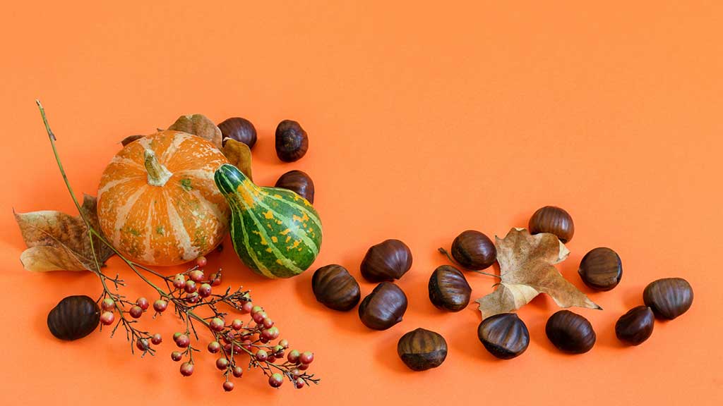 Alimentos de Otoño beneficiosos para cuidar tu salud bucodental